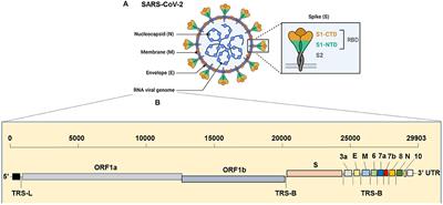 Epigenetic Lens to Visualize the Severe Acute Respiratory Syndrome Coronavirus-2 (SARS-CoV-2) Infection in COVID-19 Pandemic